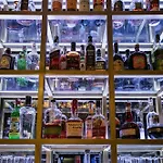 酒店 纽巴塞罗那酒店 巴塞罗那