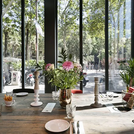 Hotel Niu